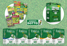 Semi per un tappeto erboso