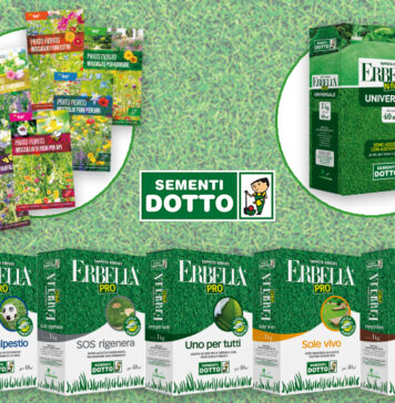 Semi per un tappeto erboso