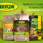 substrati Terflor
