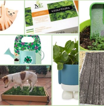 Prodotti originali per il giardino