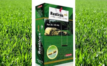 Rusticus Più di Bavicchi