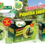 Trappola biologica contro la Popillia Japonica