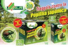 Trappola biologica contro la Popillia Japonica