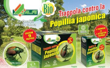 Trappola biologica contro la Popillia Japonica