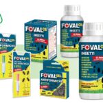foval