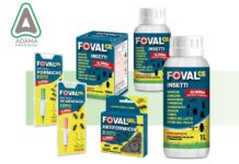 foval