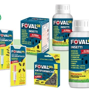 foval