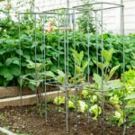 Il nuovo sostegno per piante di Agrati sostegno per piante