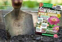 Amateur Gardening