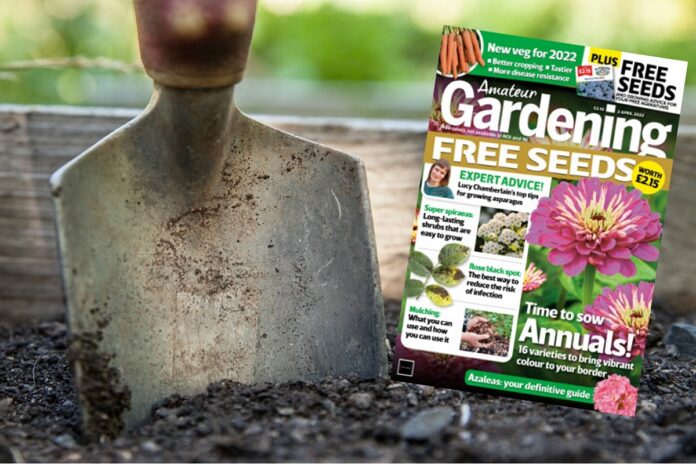 Amateur Gardening