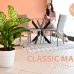 vaso Bomb