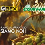 Scuotitore e rete per la raccolta delle olive scuotitore