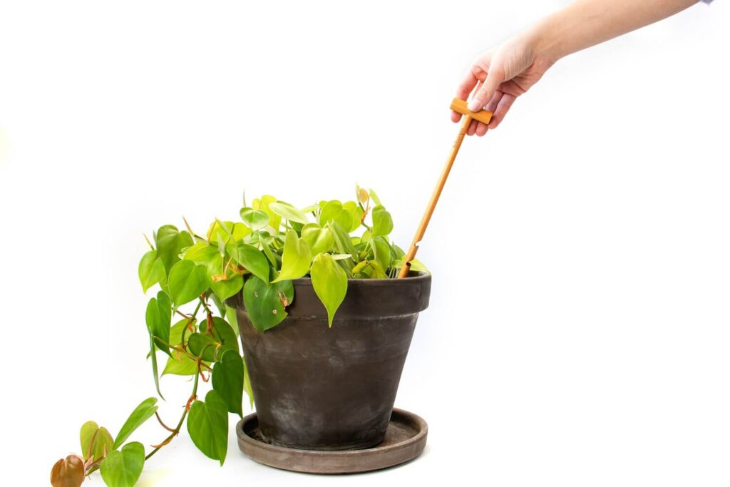 Soluzioni originali per il giardino - soil checker 