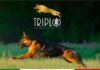 Triplo Pet