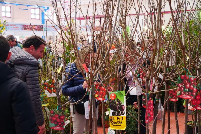 Fiera di Vita in Campagna