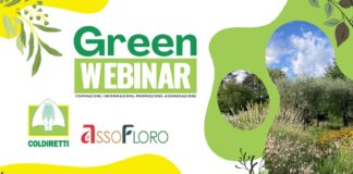 green webinar