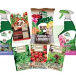 proposte bio di Blumen