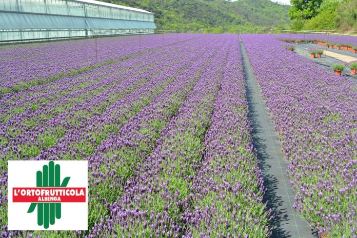 L'Ortofrutticola di Albenga