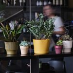 I vasi di piccole dimensioni della collezione Eclipse di Tera vasi di piccole dimensioni