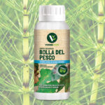 Bolla del pesco di Verdevivo contro le malattie fungine bolla del pesco