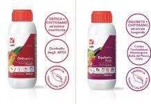 Ortica Plus