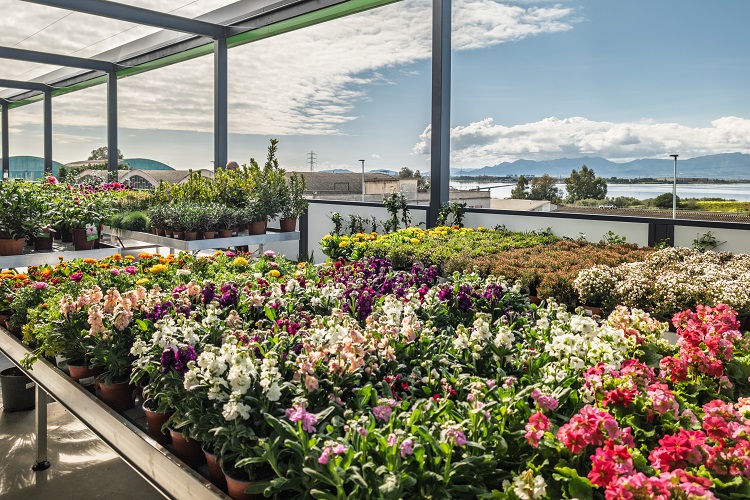 City Garden a Cagliari