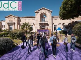 Jdc Garden Trends