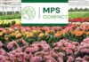 Mps compact