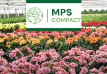 Mps compact