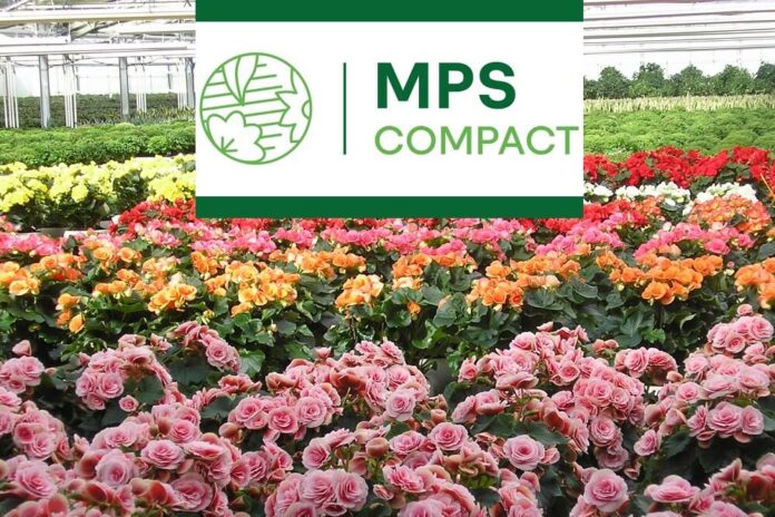 Mps compact