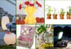 Prodotti innovativi per il verde