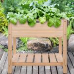 Banco da coltivazione rialzato