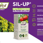 Sil-Up