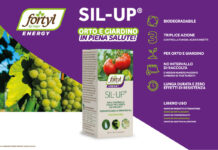 Sil-Up