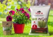 Top n