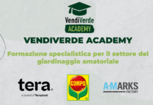 Vendiverde