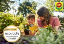 status Gold da Ecovadis