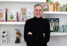 Dario Bavicchi