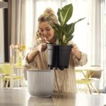 Elho per le piante d’estate_