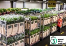 Royal Floraholland