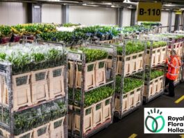 Royal Floraholland