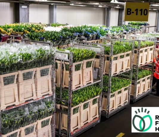 Royal Floraholland