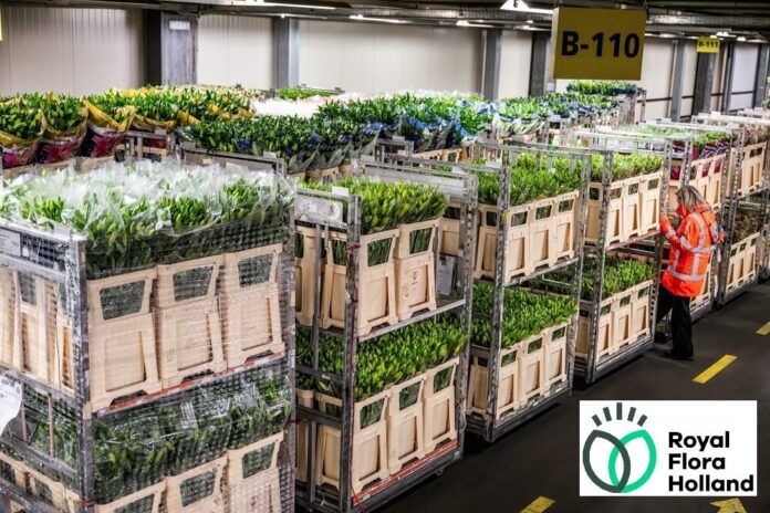 Royal Floraholland