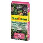 Terriccio speciale per piante grasse