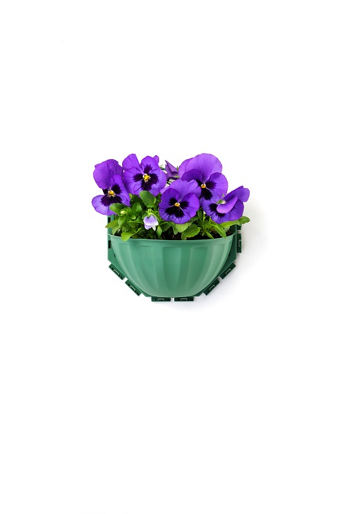 gerla puzzle