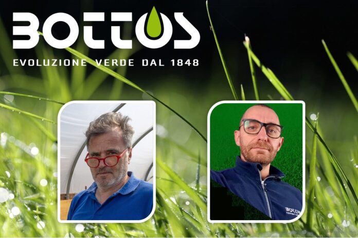 il prato in estate