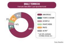 terricci consumer