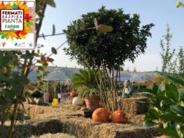 Festival d’Autunno