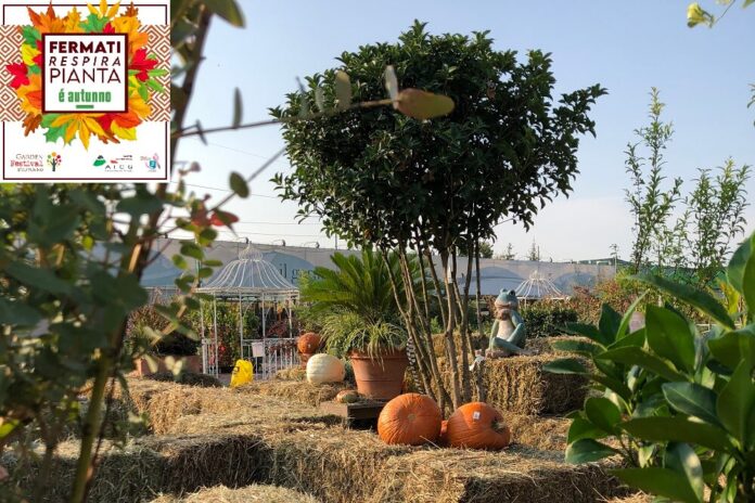 Festival d’Autunno