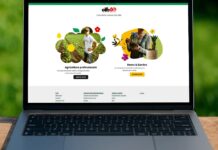 nuovo sito web di cifo